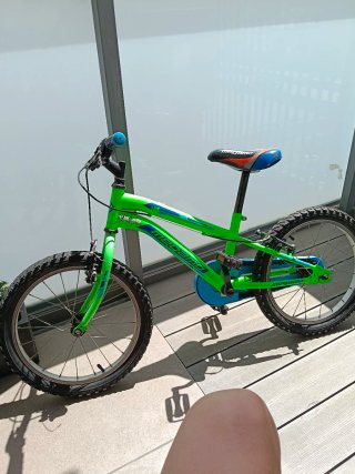 Bicicleta Infantil Mammoth 18