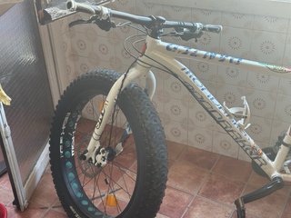 Bicicleta Fat Bike Ruedas Moto