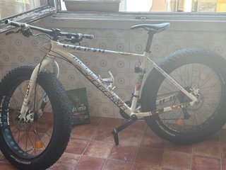 Bicicleta Fat Bike Ruedas Moto