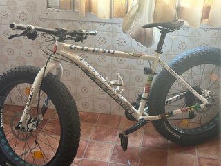 Bicicleta Fat Bike Ruedas Moto