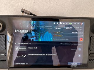 Steam Deck LCD 1TB + Funda + Auriculares