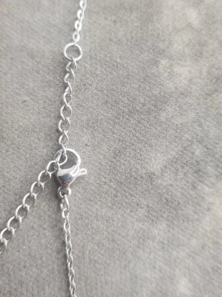 Collar Acero Quirúrgico Toy Story The Claw