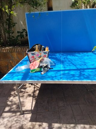 Tavolo da ping pong pieghevole per esterni con ruote