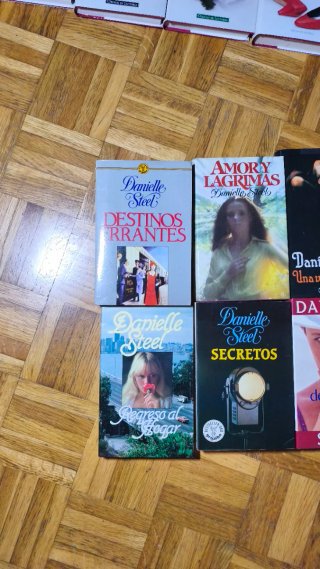 Colección de Danielle Steel 23 libros! 20€