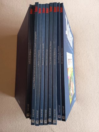 Lote 10 Cómics Astérix y Obélix