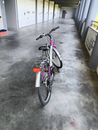Bicicleta junior morada y blanca