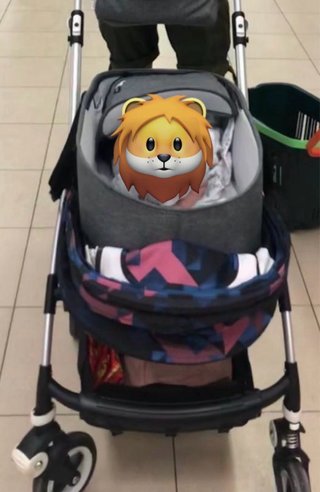 Carrito Bugaboo Bee 5, como nuevo.