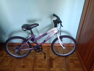 Bicicleta Boomerang 20 morada