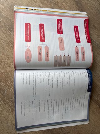 Economía y emprendimiento 4o ESO