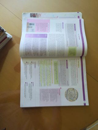 Filosofía 1 Bachillerato : Proyecto construyend...