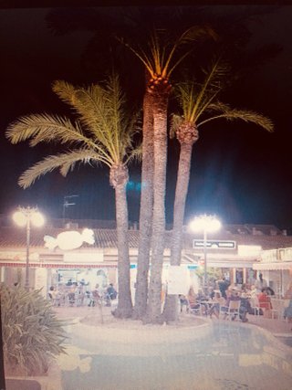 ALQUILER JULIO APARTAMENTO EN DENIA
