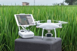 DJI Phantom 4 Multiespectral Agricultura