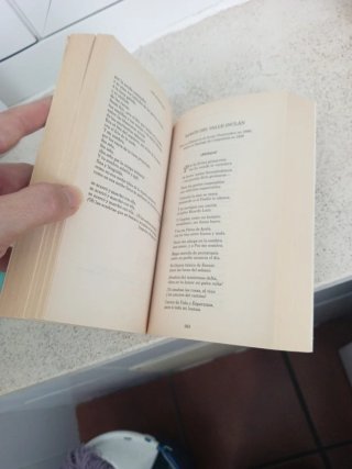 Antología de las mejores poesías de amor en len...