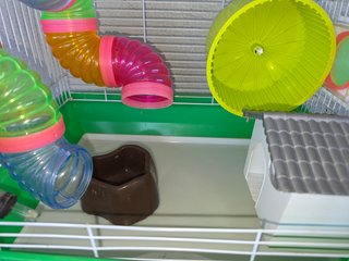 Jaula Hamster con Tubos y Accesorios