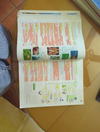 Biología, Geología y Ciencias Ambientales 1 Bac...