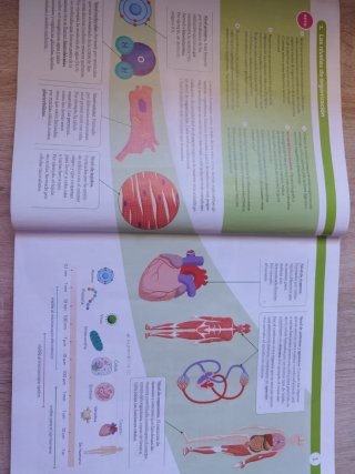 BIOLOGIA Y GEOLOGIA MADRID 3 ESO CONSTRUYENDO M...