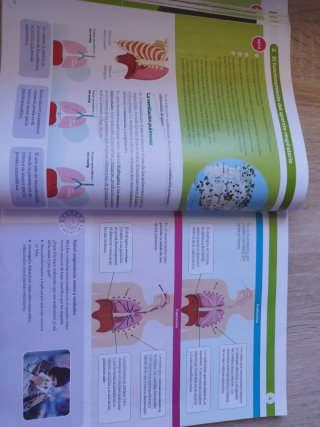 BIOLOGIA Y GEOLOGIA MADRID 3 ESO CONSTRUYENDO M...