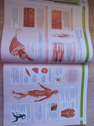 BIOLOGIA Y GEOLOGIA MADRID 3 ESO CONSTRUYENDO M...
