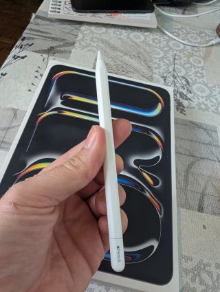 iPad Pro 11 M4 256gb + Apple Pencil 2
