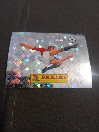 Cromo Panini Fútbol