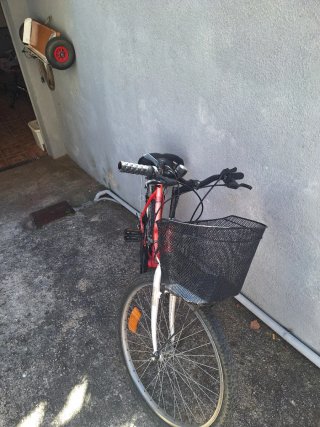 Bicicleta Mujer Rosa con Cesta