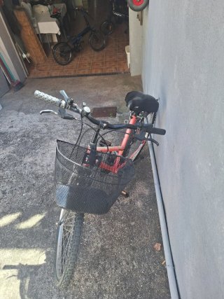 Bicicleta Mujer Rosa con Cesta