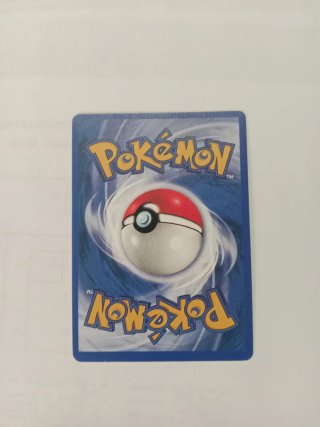 Carta Pokémon Charizard EX Teracristal