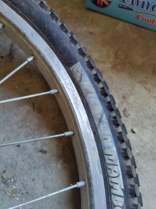 Llanta con neumáticos BMX 1.75 y 1.95 (44-406)