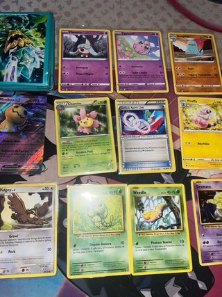 Lote cartas Pokémon TCG y fundas