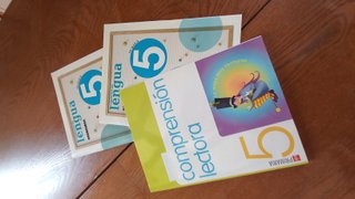 libro vacaciones lengua