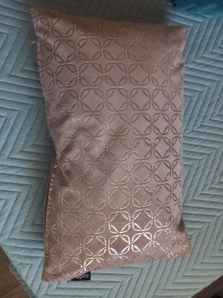 2 Cojines Decorativos Beige y Turquesa