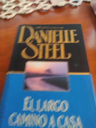 Lote 6 libros de Danielle Steel
