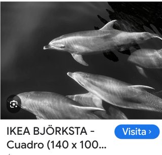 Björksta Póster Delfines IKEA
