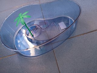 Terrario Tortuga Azul Transparente Sin estrenar.