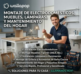 Montador y mantenimiento de hogar
