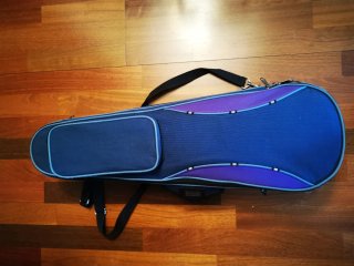 Violín Stentor 1/2 con funda y arco