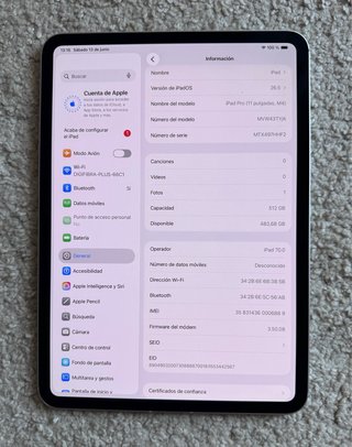iPad Pro 11 M4 5G 512G