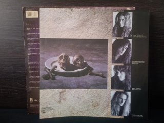 Megadeth Countdown to Extinction vinilo