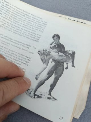 Catalogo arnold y otros culturistas