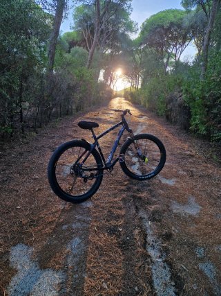 Bicicleta Montaña Personalizada