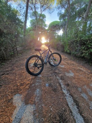 Bicicleta Montaña Personalizada