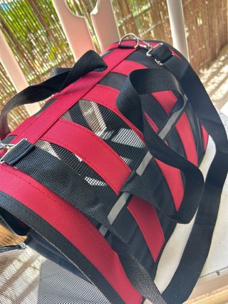 Transportín gato/perro pequeño negro-rojo A ESTREN