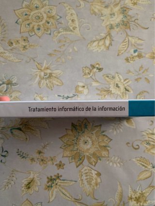Tratamiento informático de la información