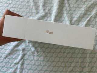 iPad Air rose gold