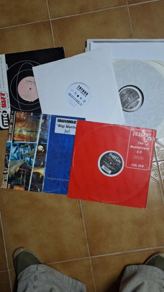 Lote Vinilos House y Techno Variado