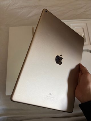 iPad Pro 12.9 1ª Gen Plata