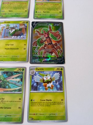 Pack Cartas Pokémon Tipo Planta