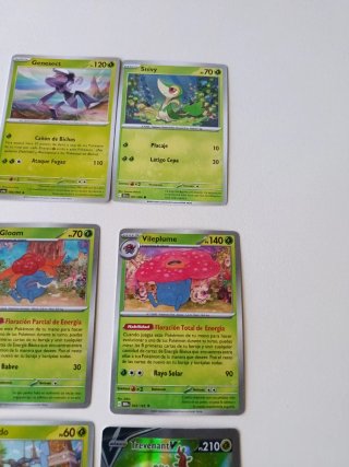 Pack Cartas Pokémon Tipo Planta