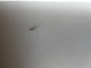 Recibidor blanco madera