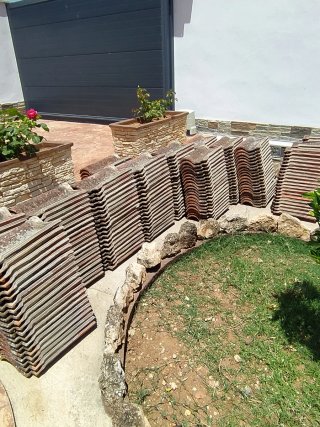 Tejas Mixtas